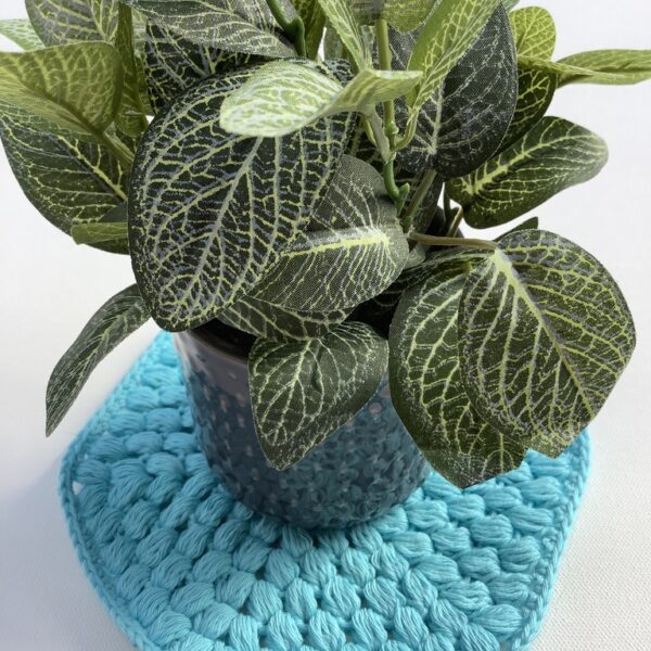 blue-pot-holders-with-plant