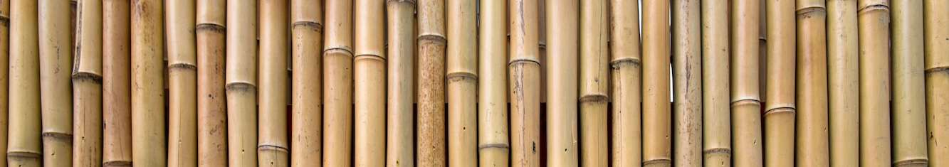 bamboo